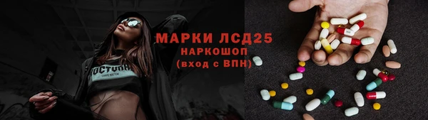 шишки Беломорск