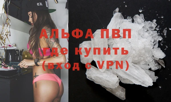 шишки Беломорск